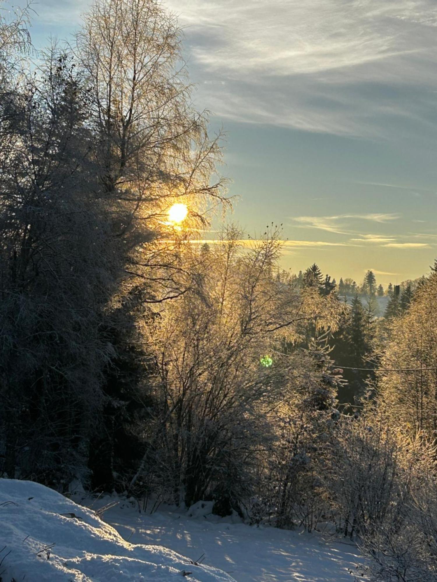 Chalet Avec Jacuzzi Prive, Vue Sur Les Vosges Belfahy Exteriör bild